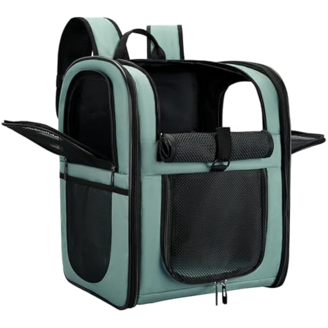 Apollo Walker Pet Carrier Backpack – Large Airline Approved Travel Bag, Blue