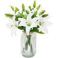 Olrla Real Touch White Artificial Lily Flowers – 6 Pcs Waterproof Faux Lilies