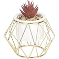 Jolof Store Purple Succulent Artificial Faux Plant in Gold Cage Stand
