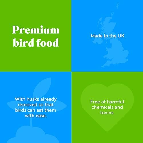 RSPB Sunflower Hearts Wild Bird Food – 4kg High Energy Bird Seed