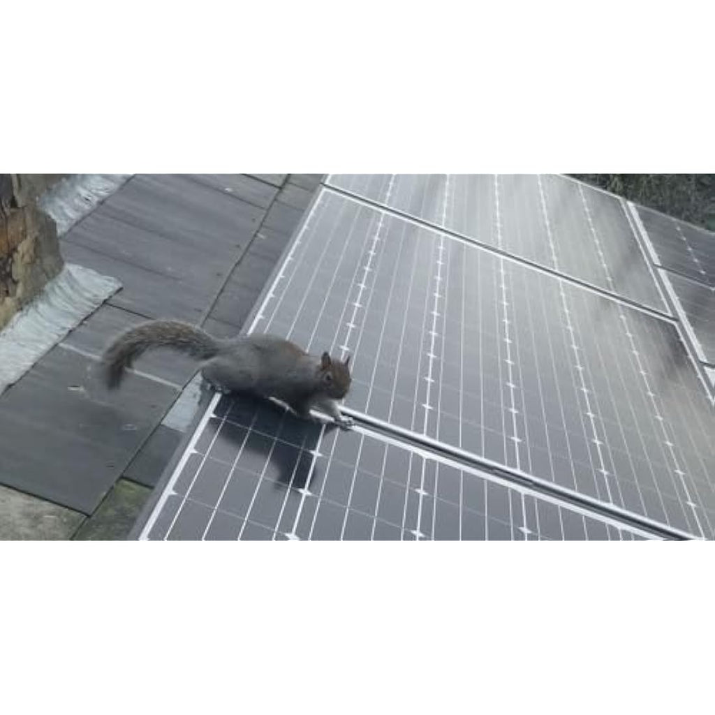 My Squirrel Guard Solar Panel Critter Guard Kit - 8" x 100ft PVC Steel