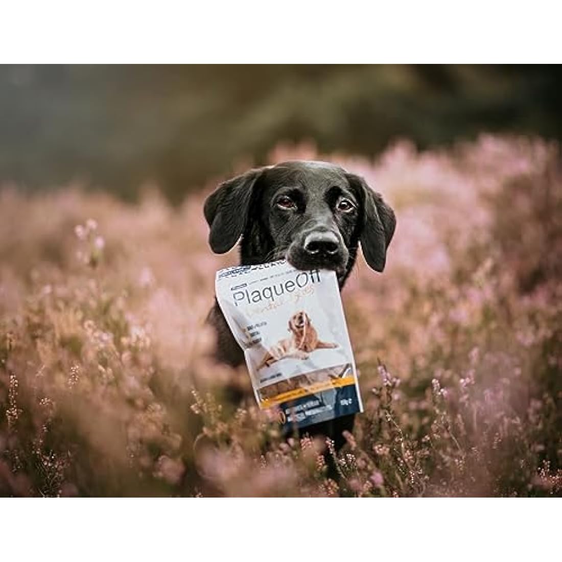 ProDen PlaqueOff Dental Bites for Dogs – Natural Tartar & Plaque Remover 150g