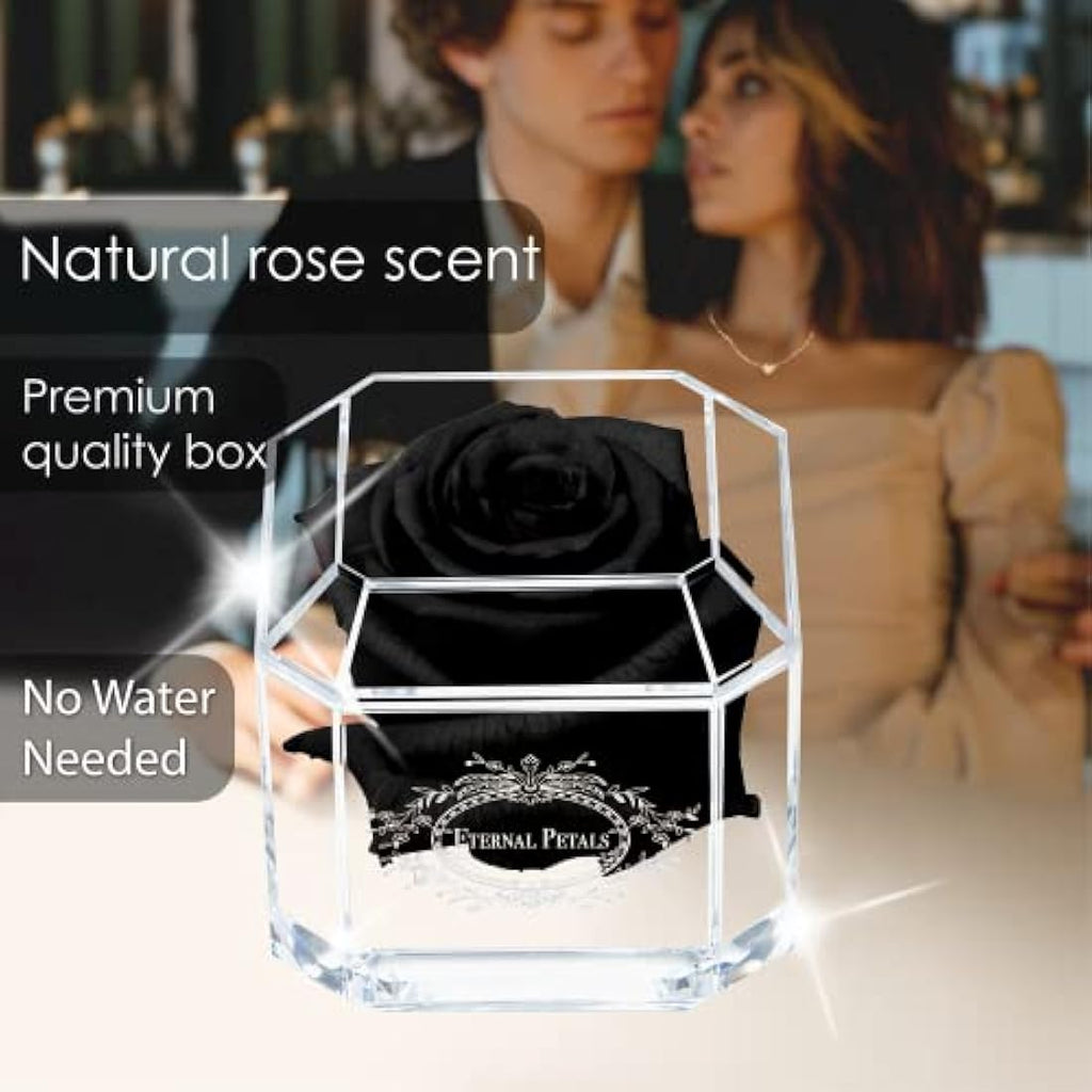 Eternal Petals Preserved Infinity Rose – Handmade Real Rose in Black