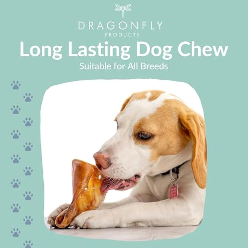 Jolof Store Pigs Ears for Dogs | 25 Large British Pork Ear Dental Chews