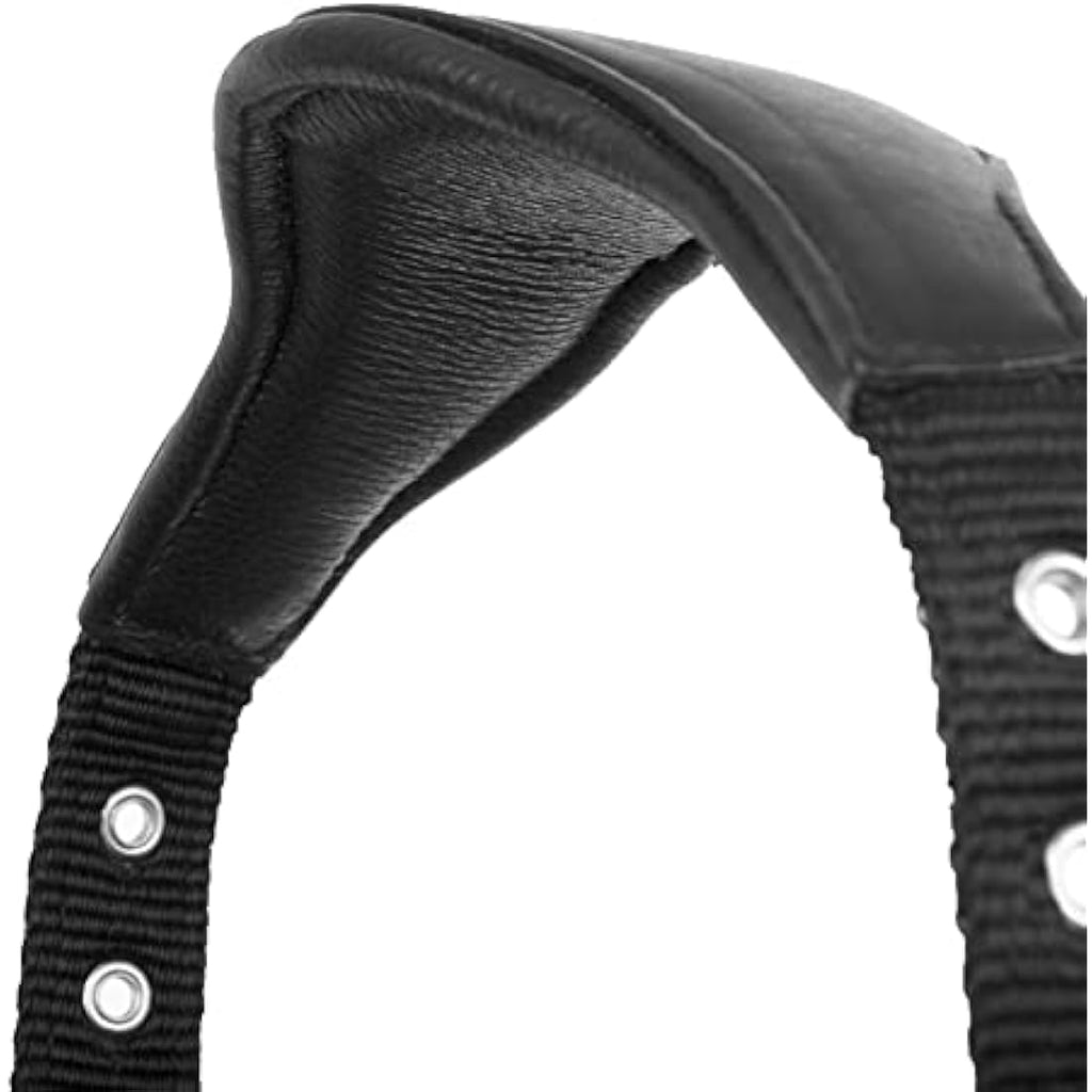 LeMieux Bug Relief Fly Mask – UV Protection & Breathable Mesh Ears