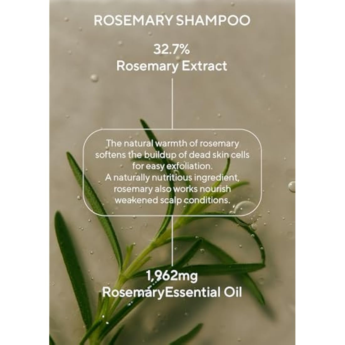 AROMATICA Rosemary Scalp Scaling Shampoo & Conditioner Set - Vegan