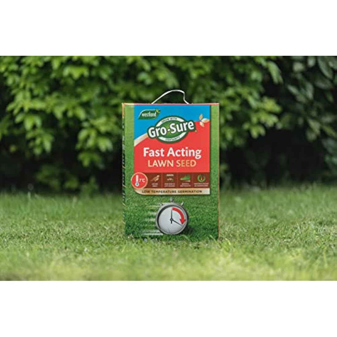 Gro-Sure Fast Acting Lawn Seed – Bird-Proof Grass Seed for Repairs, 300g