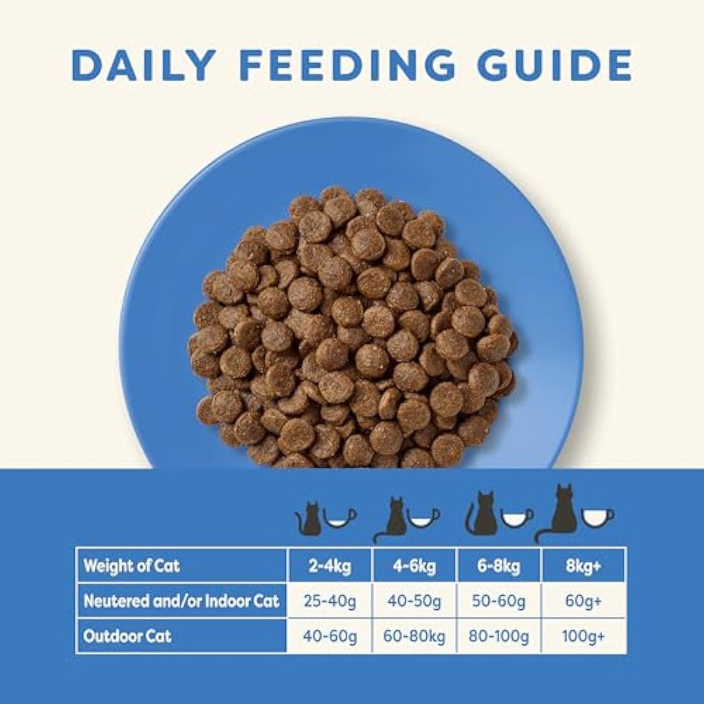 Applaws Grain Free Dry Adult Cat Food | Ocean Fish & Salmon - 6kg