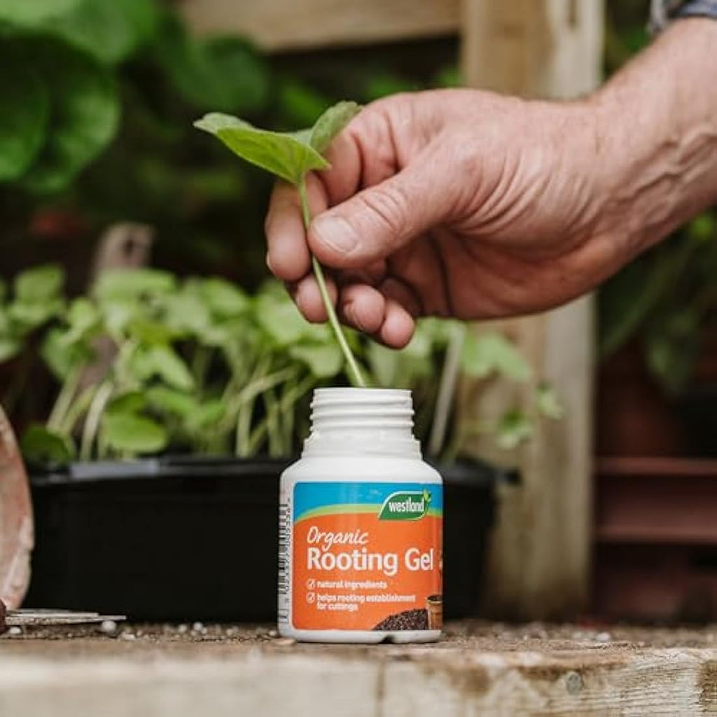 Westland Organic Rooting Powder – Natural Plant Propagation, 100g
