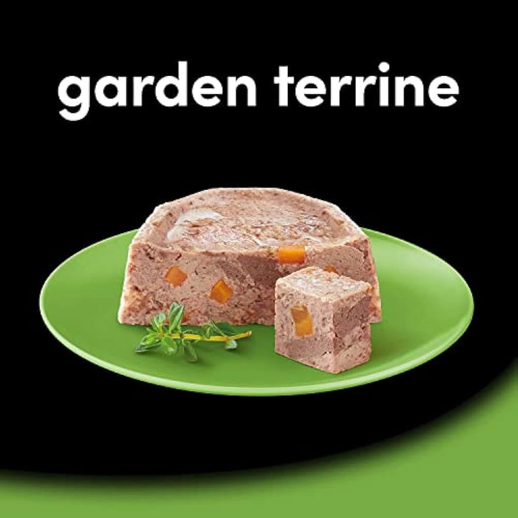 Cesar Garden Terrine Wet Dog Food – Mixed Selection Loaf, 24 x 150g