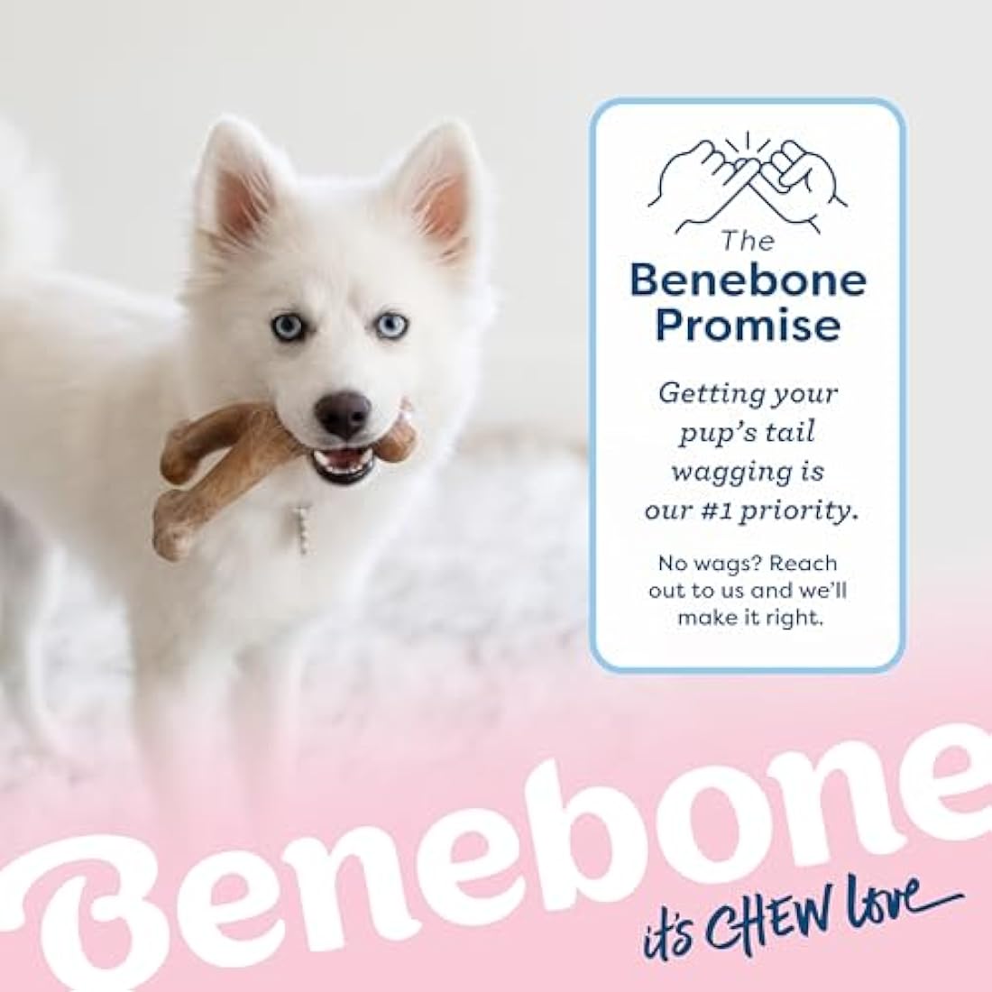 Benebone Puppy Wishbone Dog Chew Toy – Real Bacon Flavor Teething Toy