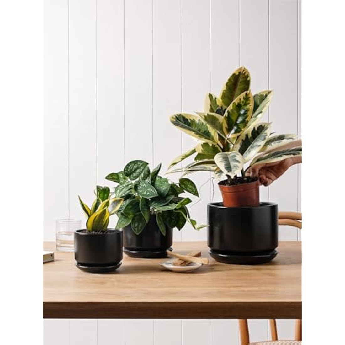 LE TAUCI Ceramic Planters | Set of 3 Indoor Flower Pots with Drainage