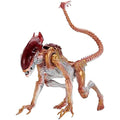 NECA Aliens Panther Alien Action Figure – 7" Kenner Tribute Collectible