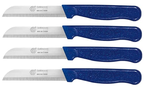 GGS Solingen 4-Piece Stainless Steel Serrated Steak & Tomato Knives