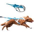 Non-stop dogwear Freemotion 5.0 Dog Pulling Harness - Blue/Gray, Size 5