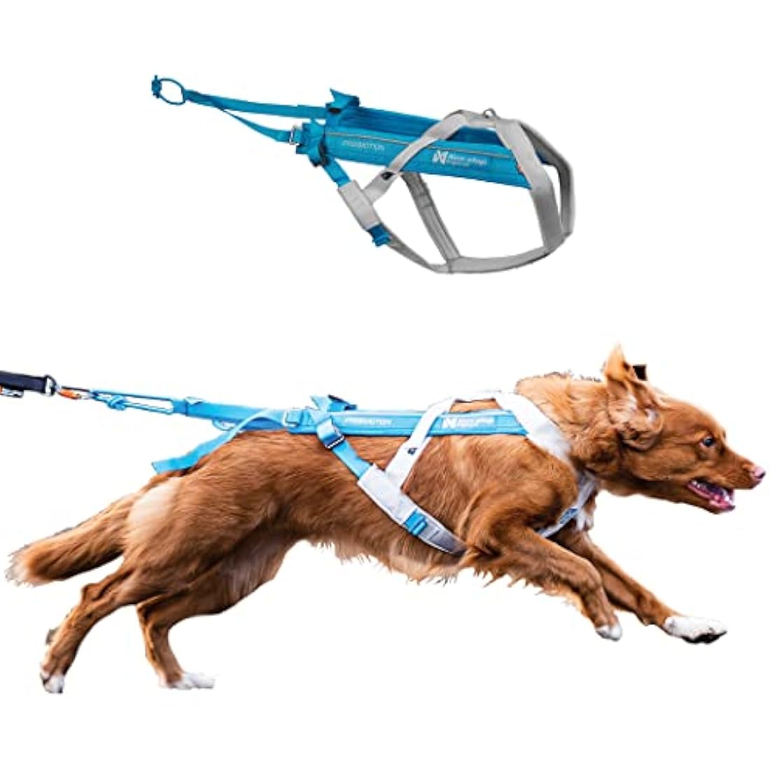 Non-stop dogwear Freemotion 5.0 Dog Pulling Harness - Blue/Gray, Size 5