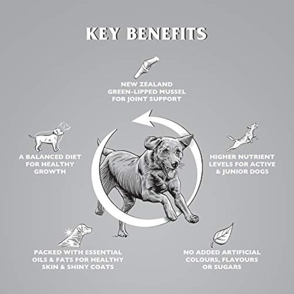 Dr. John Titanium Chicken Dry Dog Food – Active Adult & Junior 15kg
