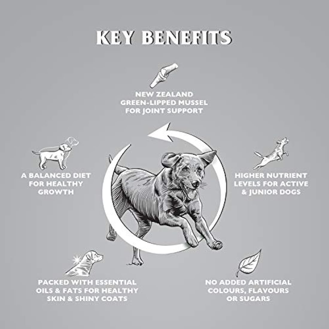 Dr. John Titanium Chicken Dry Dog Food – Active Adult & Junior 15kg