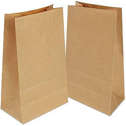 Gaoyong 100 Pack Brown Kraft Paper Bags | Food Safe Gift Bags 12x7x21.5cm