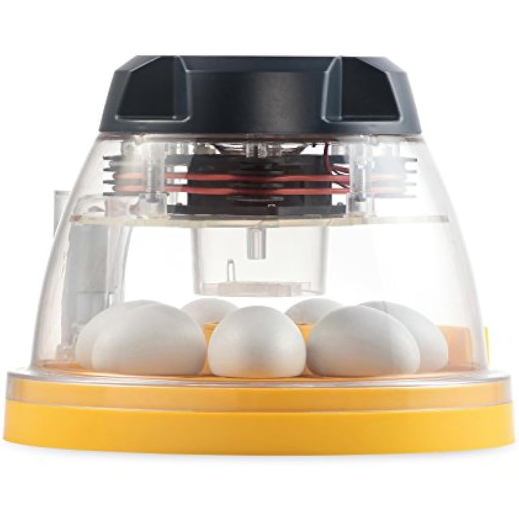 Brinsea Mini II Advance 7 Egg Incubator – Automatic Turning for Hen & Duck