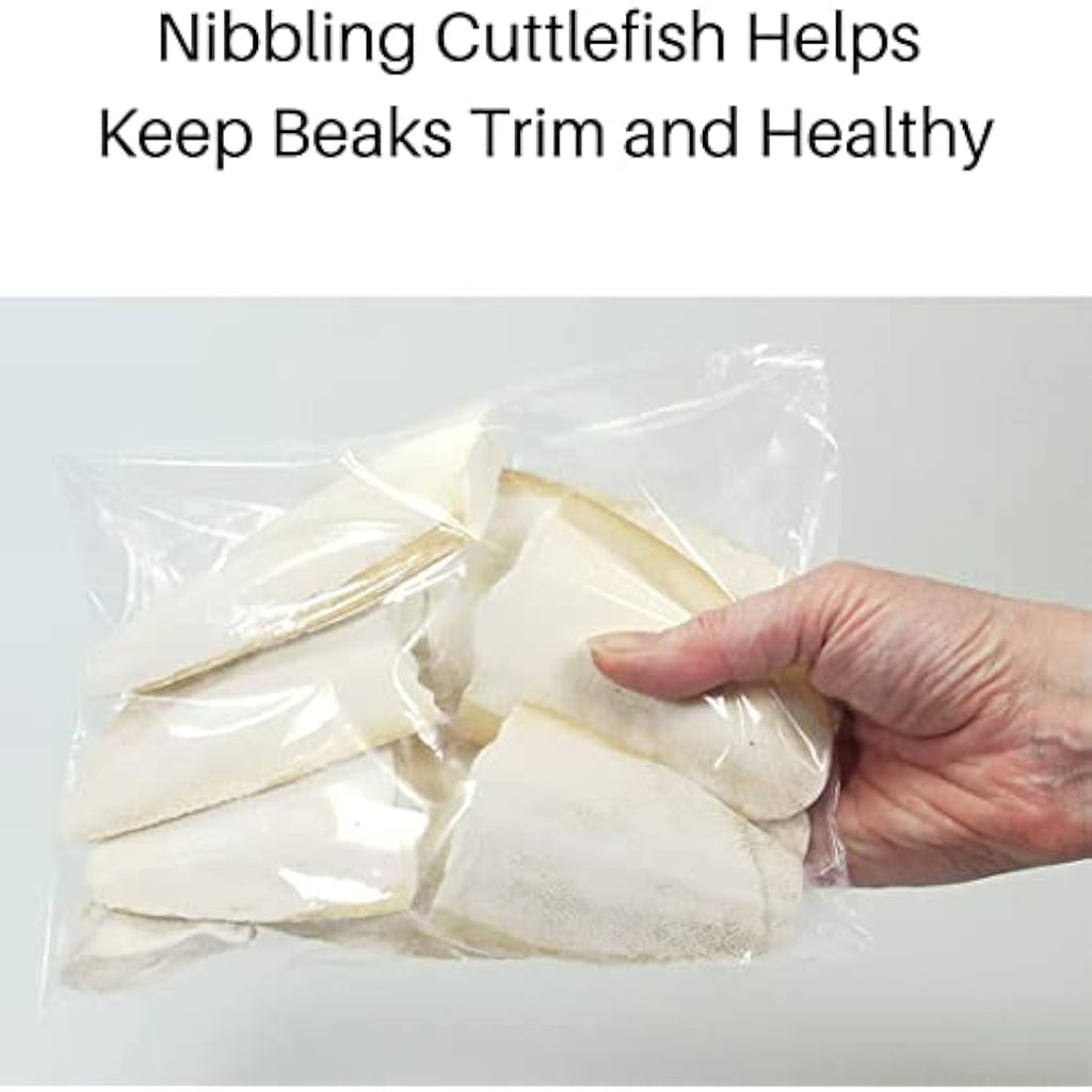 Britten & James Natural Cuttlefish Bone Pieces for Birds - Calcium, 200g