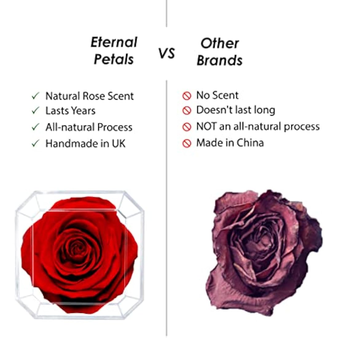 Eternal Petals Preserved Infinity Rose – Handmade Real Rose in Black