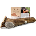 Jolof Store Antler Dog Chew – Super Extra Large Natural Deer Antler