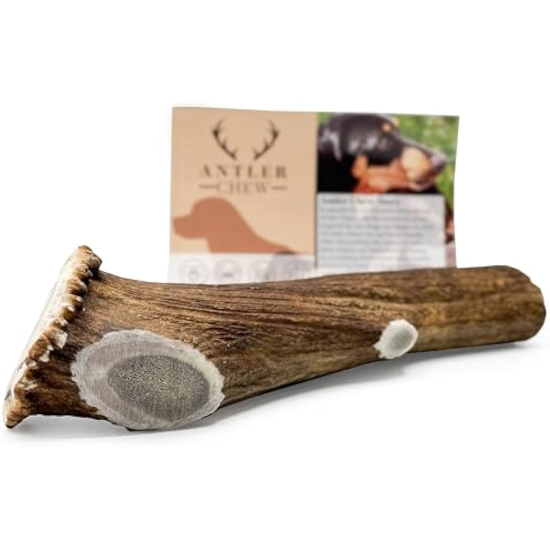 Jolof Store Antler Dog Chew – Super Extra Large Natural Deer Antler