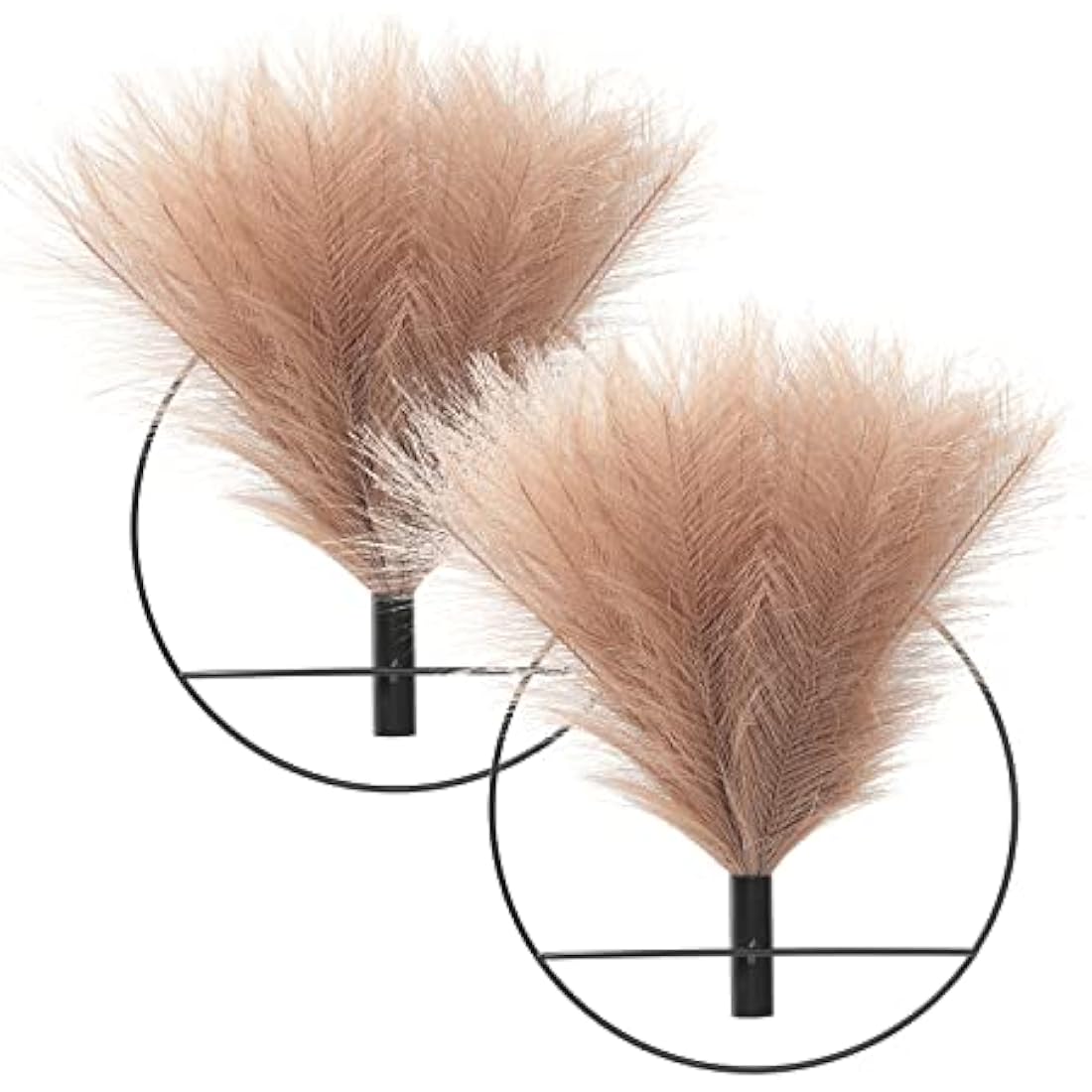 Metal Wall Vase Decor – 2 Pack Gold Ring with Pampas Grass