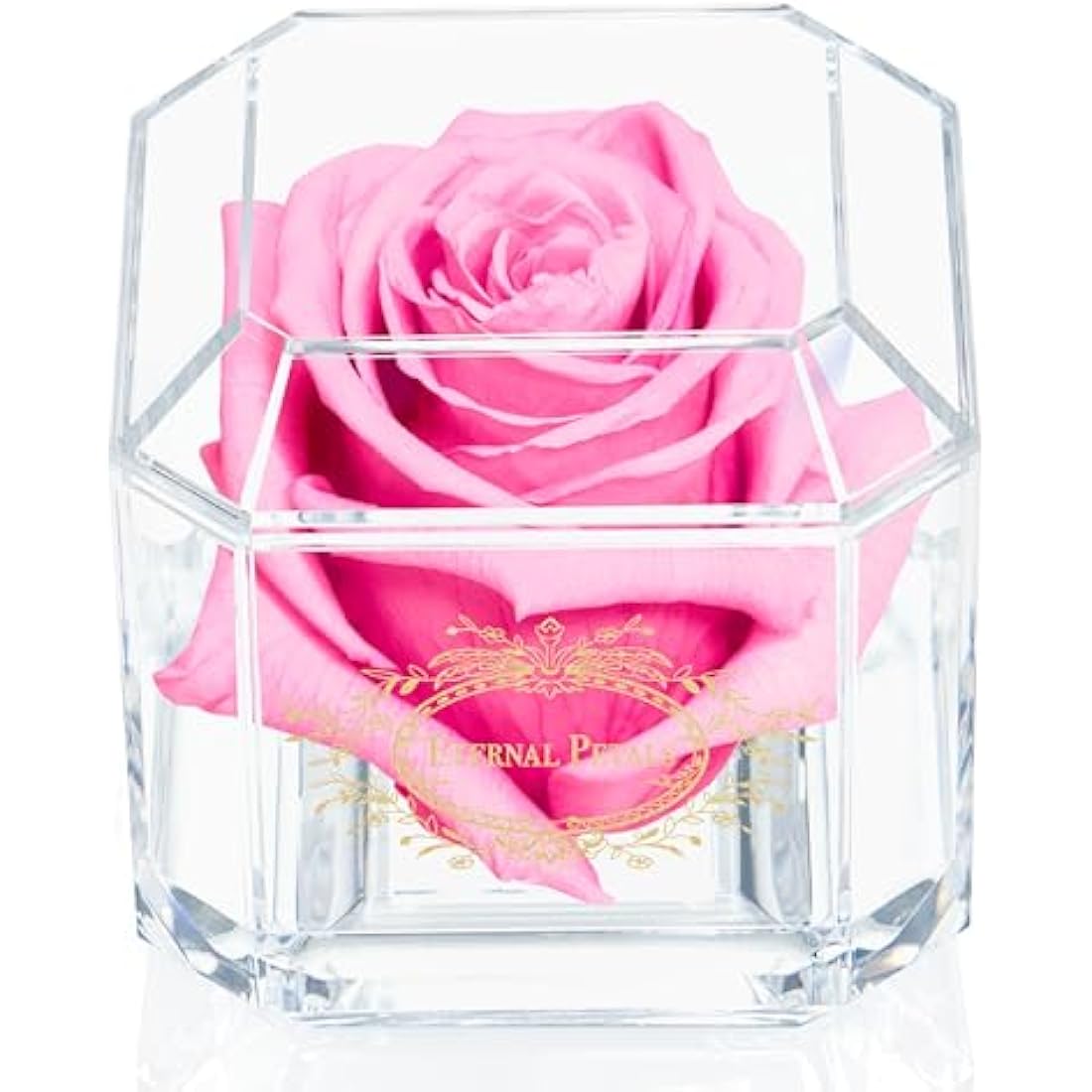 Preserved Pink Infinity Rose – Real Long-Lasting Flower
