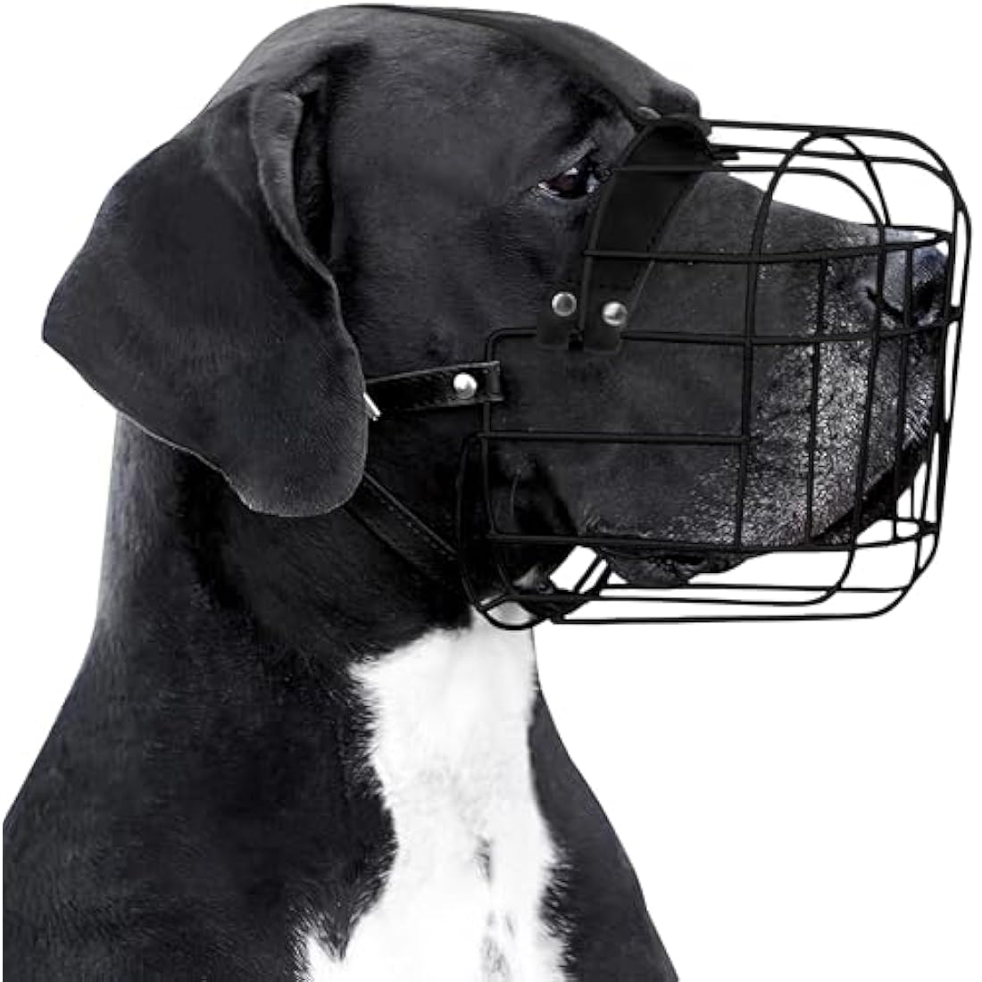 BronzeDog Metal Wire Basket Dog Muzzle | Large Breed Leather Straps