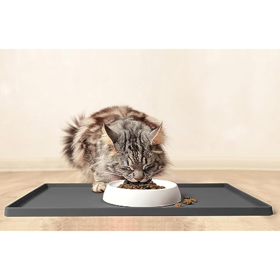 CatGuru Ceramic Cat Bowls – Whisker Fatigue Relief Shallow Dish, Set of 2