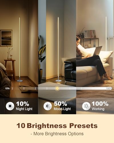 TACAHE Minimalist Corner Floor Lamp | Dimmable LED Mood Light - Silver
