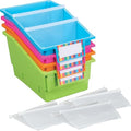 Neon Chapter Book Library Bins with Dividers - 6 Pack