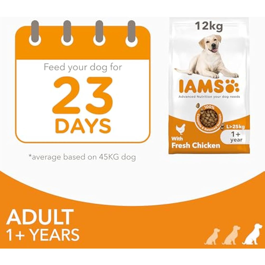 IAMS Adult Large Breed Dry Dog Food – Chicken & DentalCare – 12kg