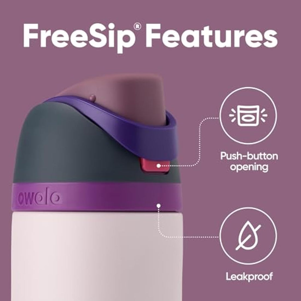 Owala FreeSip Insulated Stainless Steel Water Bottle | 710ml Dreamy Field