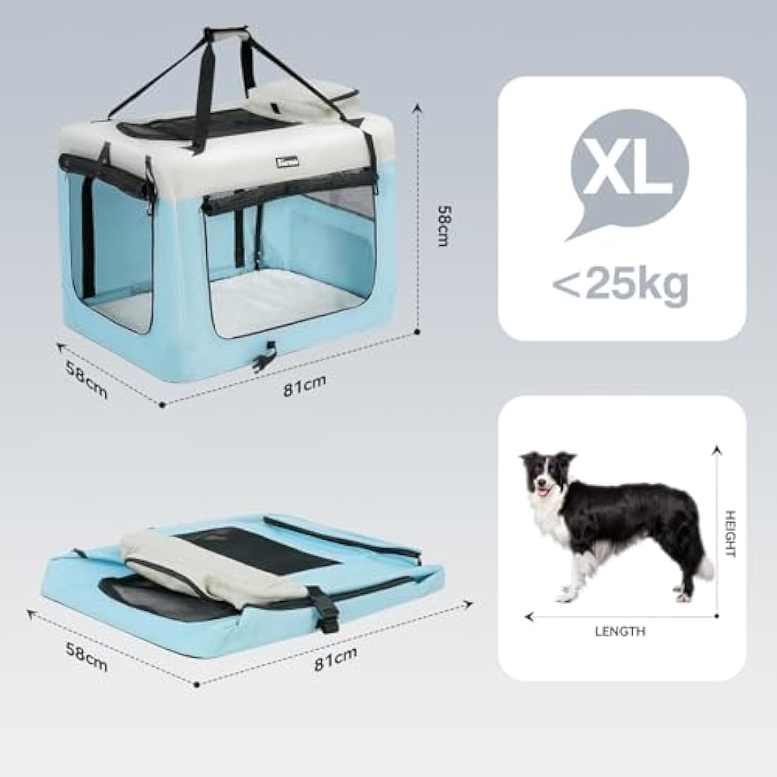 Reerooh Foldable Dog Carrier | Portable Soft Travel Crate with Steel Frame