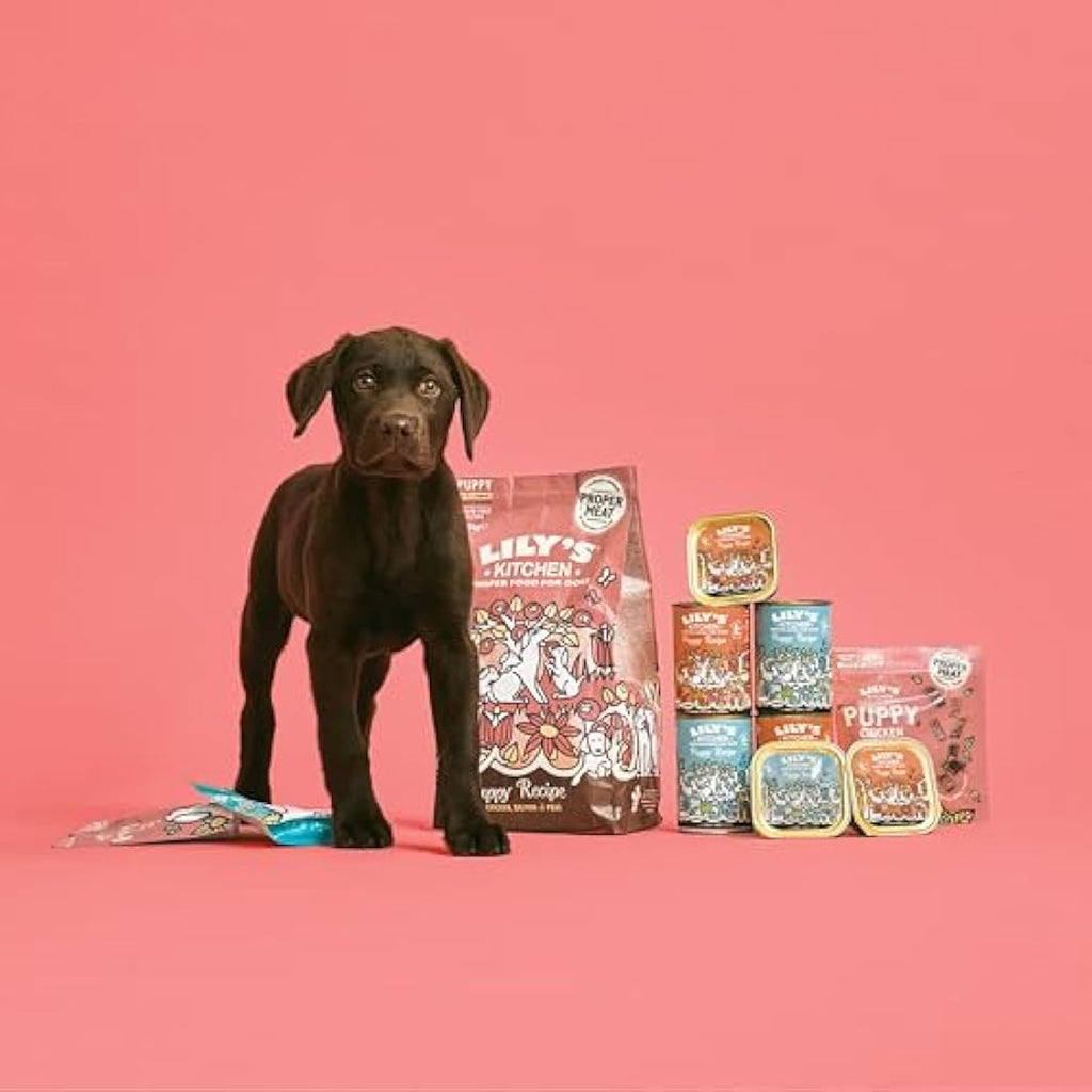 Lily's Kitchen Grain-Free Chicken Wet Puppy Food - 6 x 400g Tins
