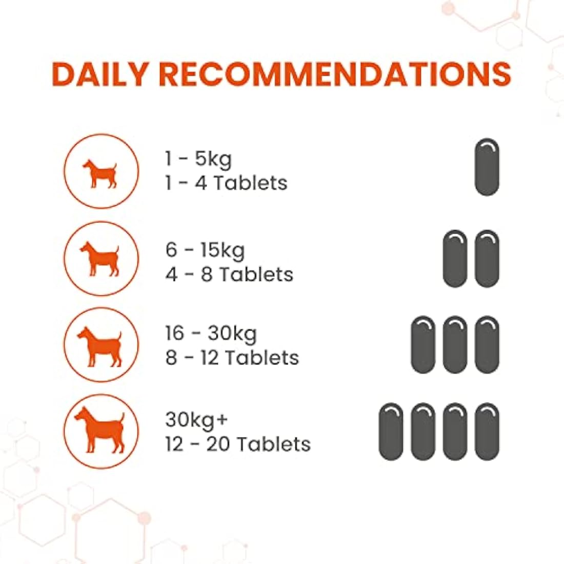 Vetzyme Once A Day Dog Conditioning Tablets | B-Complex (240 Count)