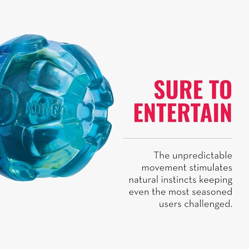 KONG Rewards Ball – Durable Interactive Treat Dispensing Toy for Large Dogs