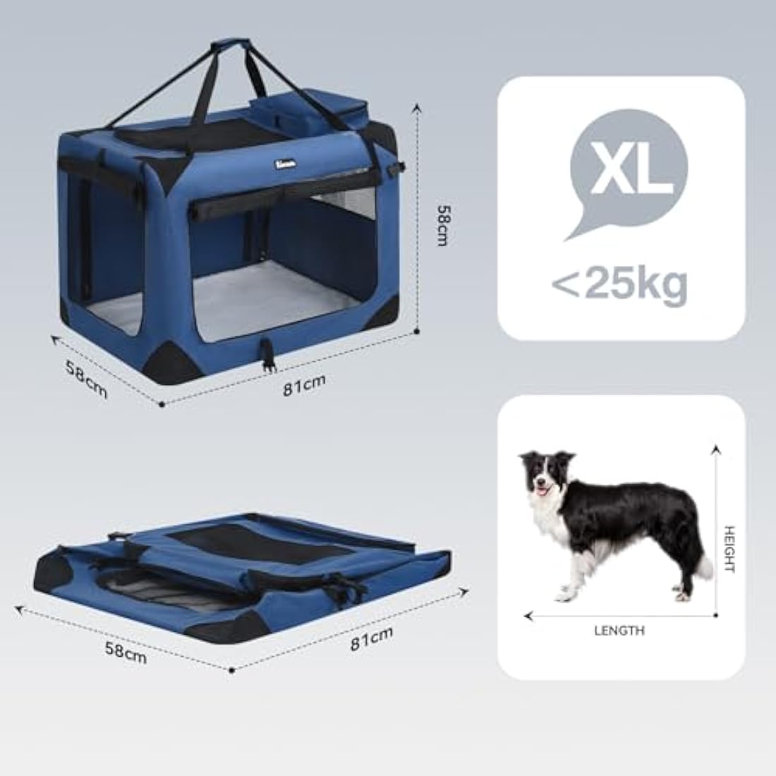 Reerooh Foldable Dog Carrier | Portable Soft Travel Crate with Steel Frame