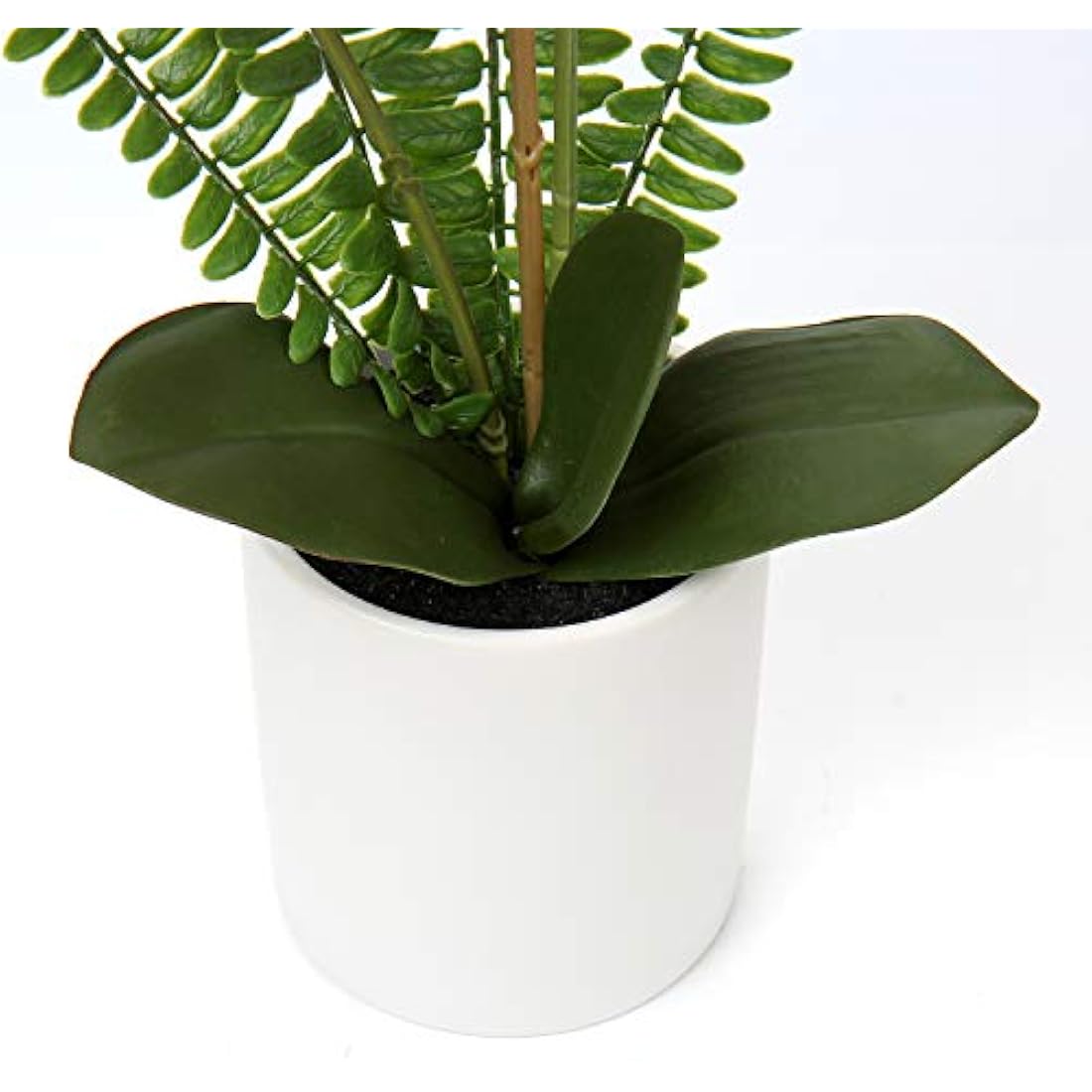Briful White Artificial Orchid in Ceramic Pot | Faux Phalaenopsis Plant