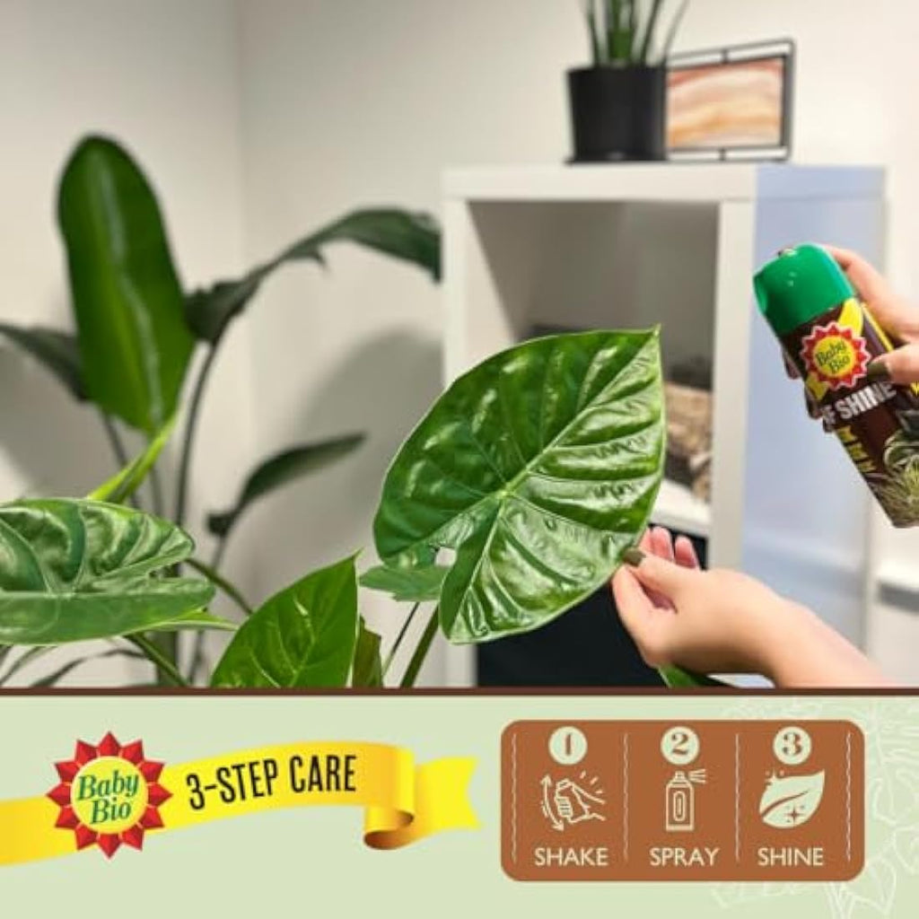 Baby Bio Leaf Shine – 200ml Aerosol Spray for Healthy Houseplant Leaves