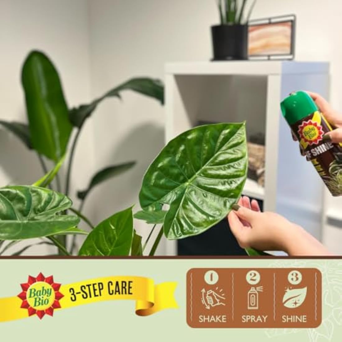 Baby Bio Leaf Shine – 200ml Aerosol Spray for Healthy Houseplant Leaves