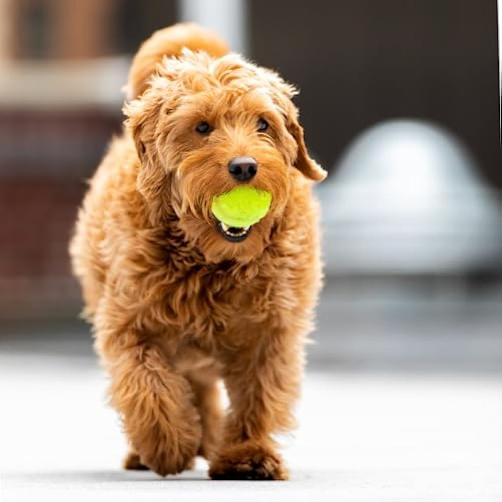 Indestructible Dog Tennis Balls – 20 Pack Durable Rubber Toys