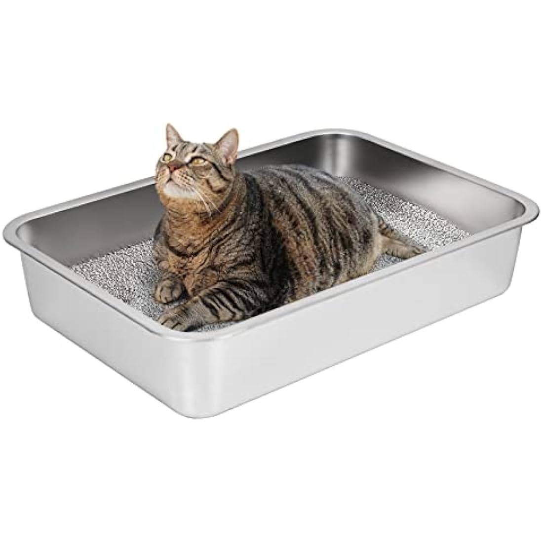 IKITCHEN Stainless Steel Cat Litter Box – Large Low Entry Metal Pan
