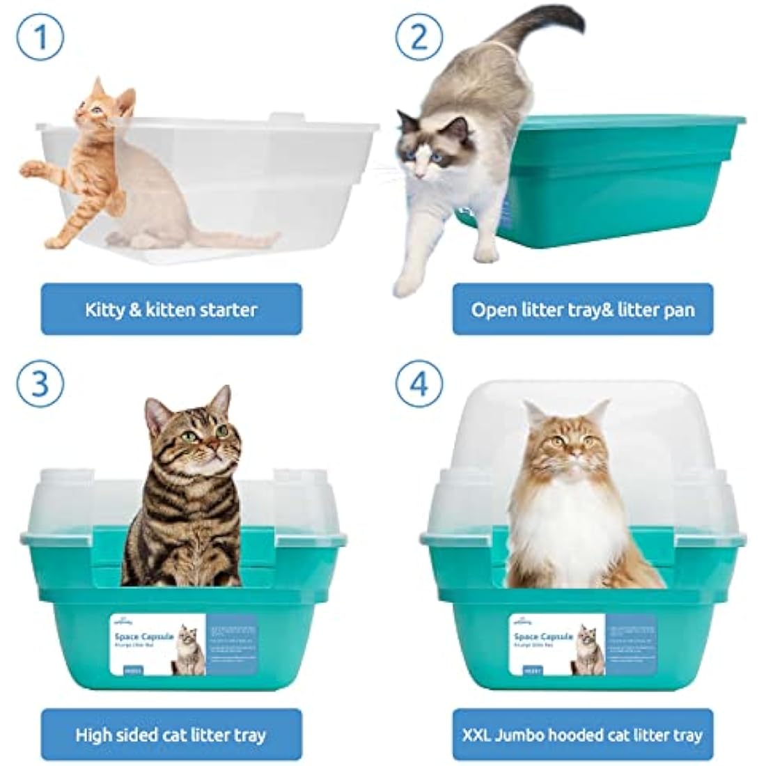 Petfamily 3-in-1 Large Cat Litter Box with Hood | Teal Plastic Tray