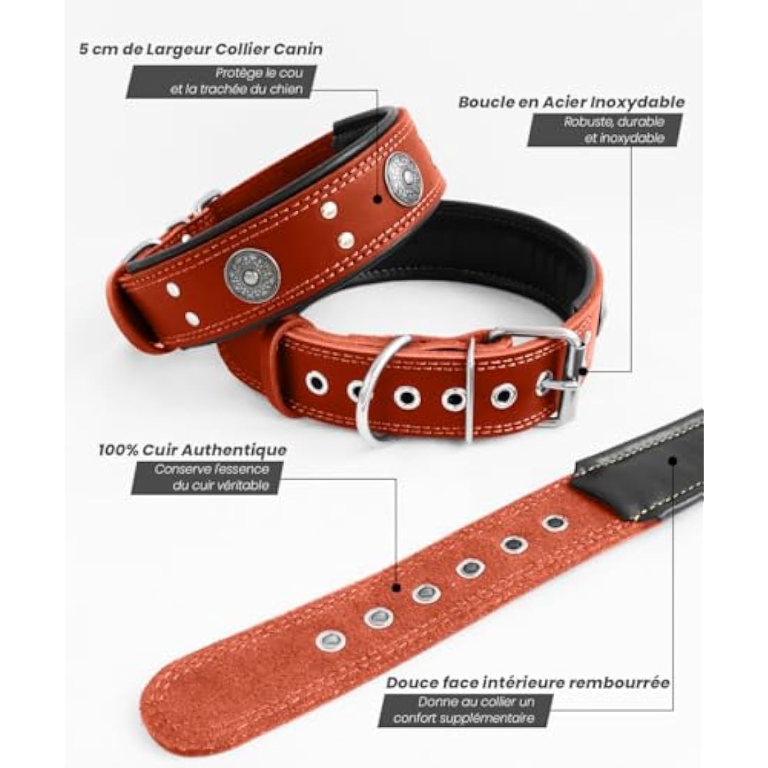 Jolof Store Leather Dog Collar – Padded Genuine Cowhide, Red, 5cm Wide