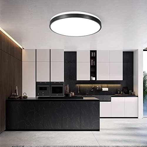 Horevo 24W Bluetooth Ceiling Light with Speaker | Dimmable RGB LED