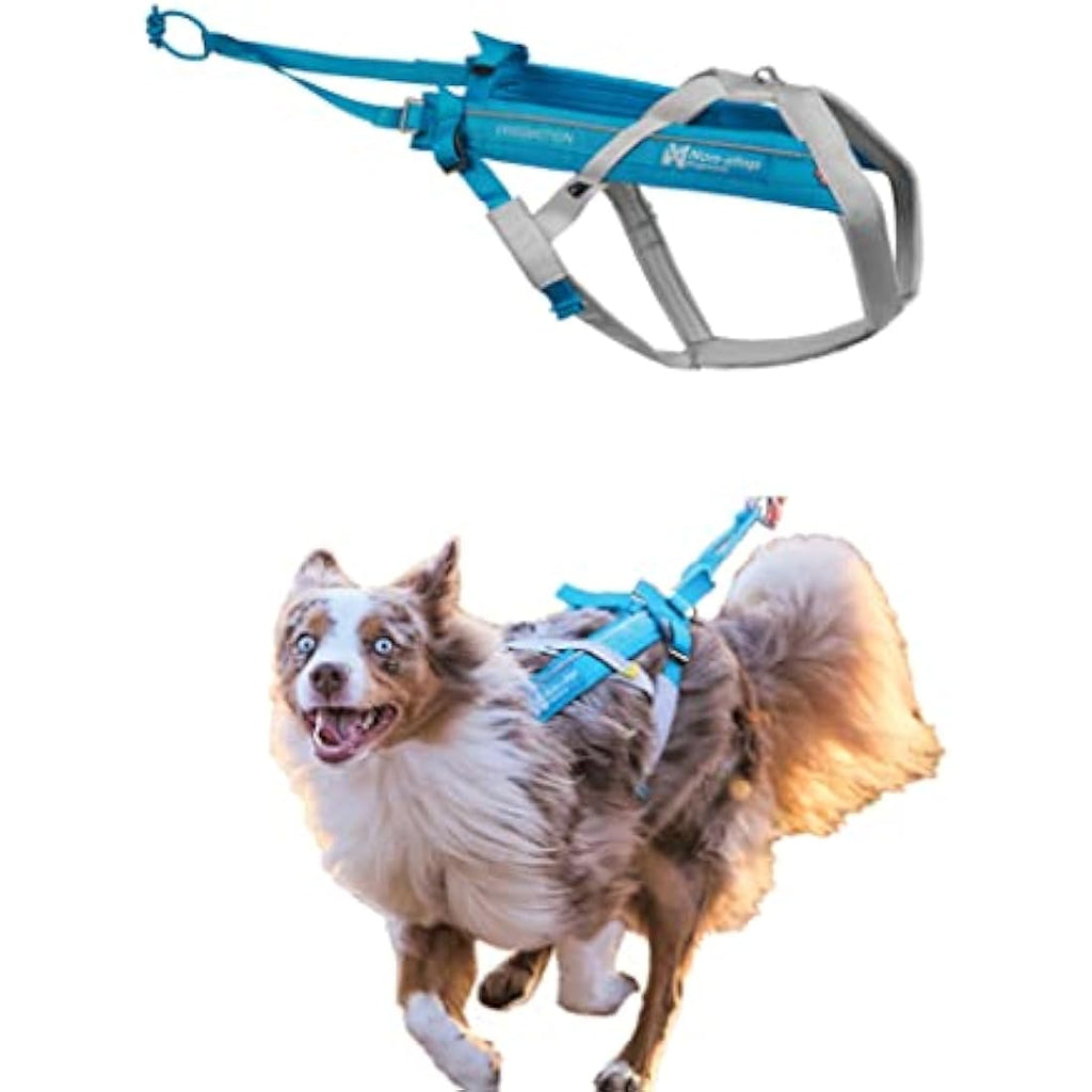Non-stop dogwear Freemotion 5.0 Dog Pulling Harness | Blue/Gray, Size 3
